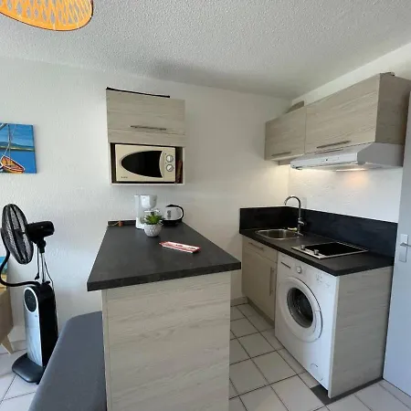 Cosy Avec Piscine Et Parking, A 100m De La - - Fr-1-225-91